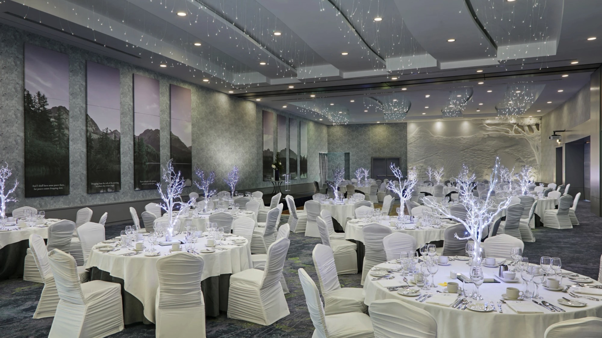 Charity Balls Hero Image